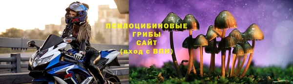 дмт Гусиноозёрск