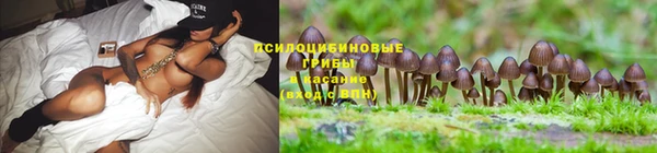 ешки Елизово