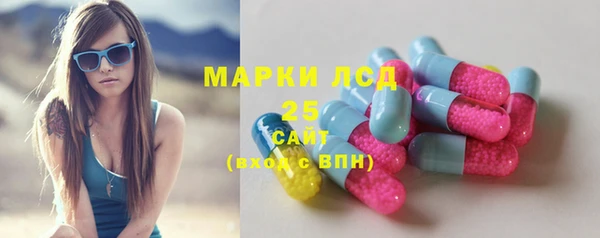 ГАЛЛЮЦИНОГЕННЫЕ ГРИБЫ Гусь-Хрустальный
