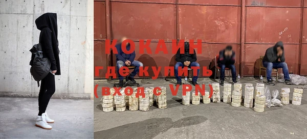ГАЛЛЮЦИНОГЕННЫЕ ГРИБЫ Гусь-Хрустальный